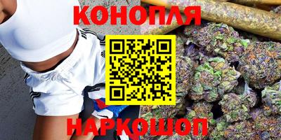 шишки Жуковский