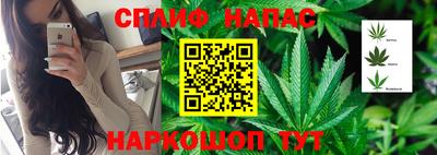 молекула духа Гай