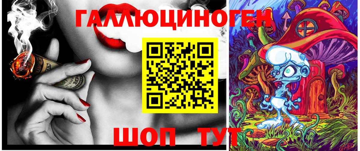 Щёкино  Псилоцибиновые грибы прущие грибы  Вход с VPN 