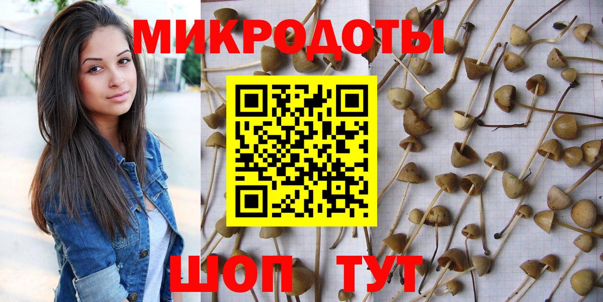 Псилоцибиновые грибы мицелий Щёкино